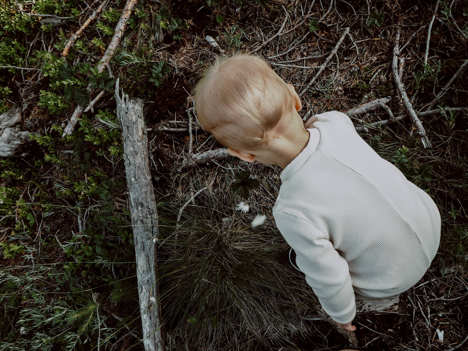 Ihanan tiimi yhteiskuvassa