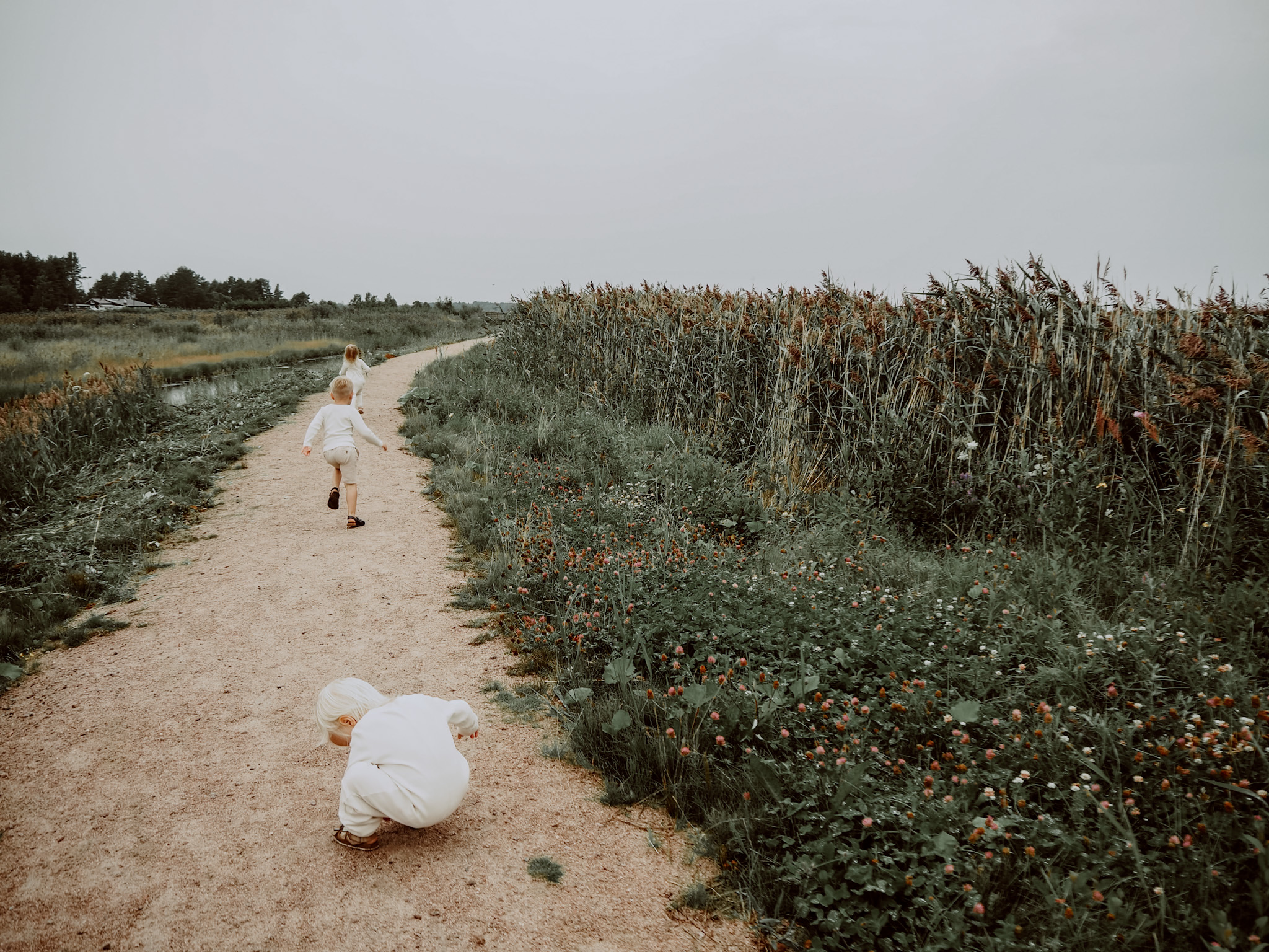 Kuvausretki lasten kanssa, mainoskuva