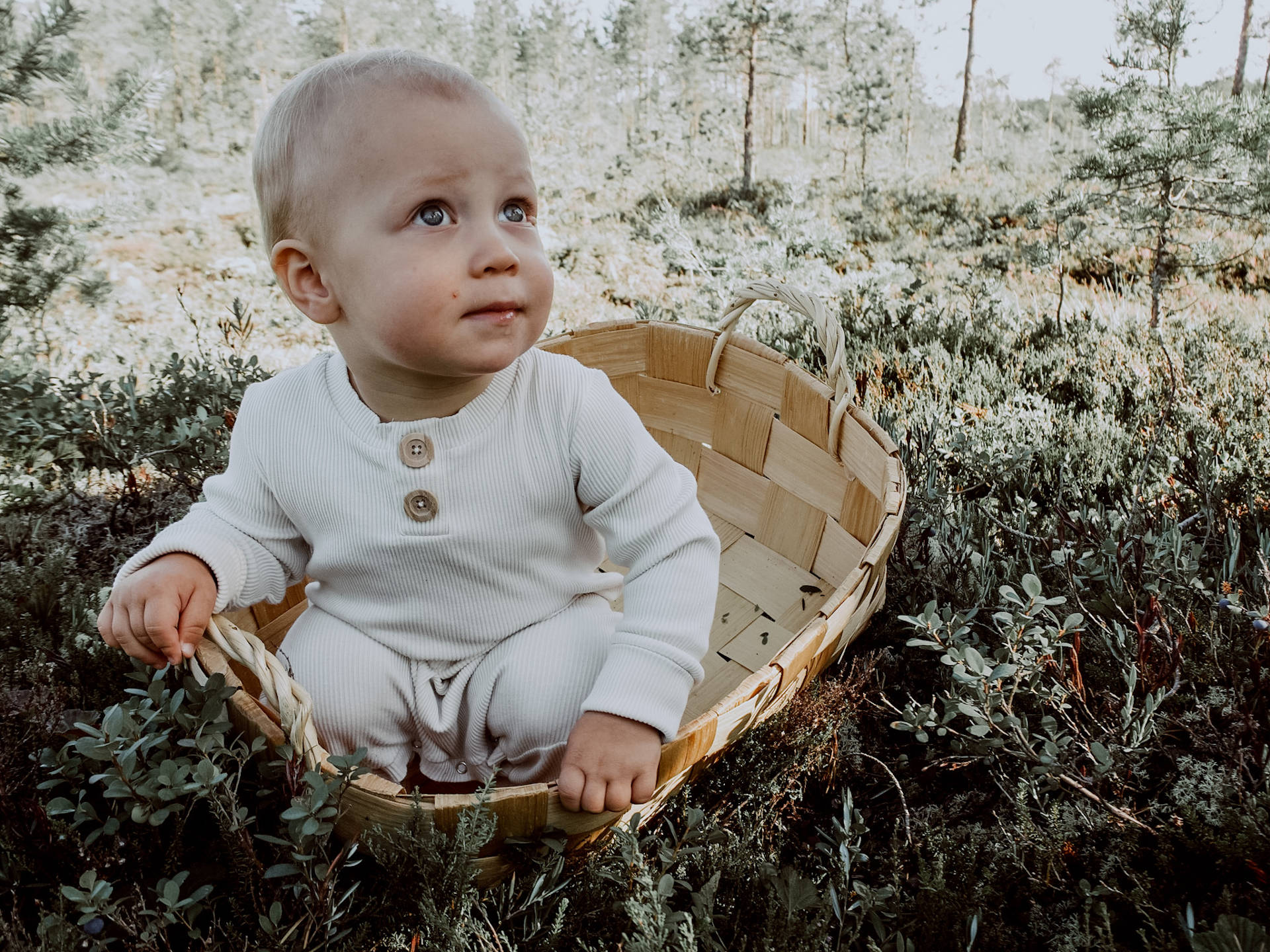 Vaatteiden kuvauspäivä Kivikkokankaan suolla, mainoskuva