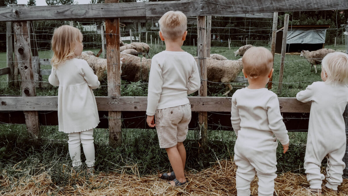 Kuvausretki lasten kanssa, mainoskuva